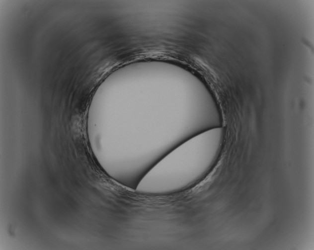 X0000092101353200709121101