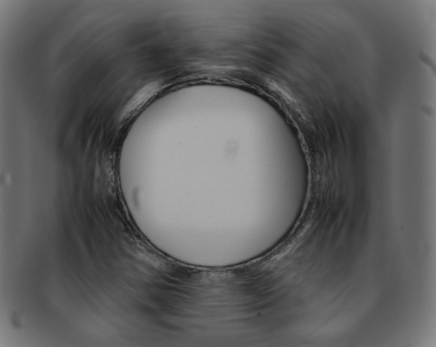 X0000092101354200709121101