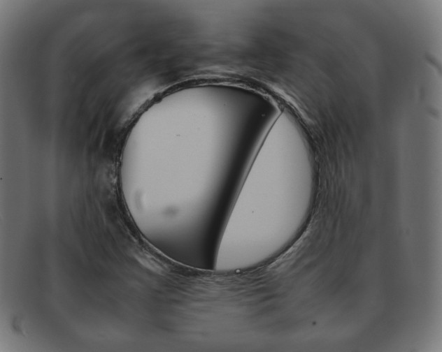 X0000092101355200709121101