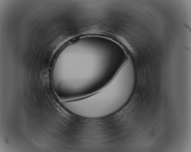 X0000092101356200709121101