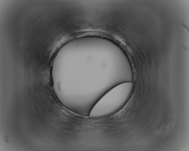 X0000092101357200709121101