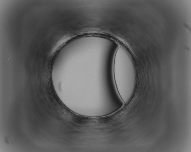 X0000092101359200709121101