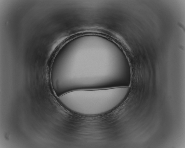 X0000092101360200709121101