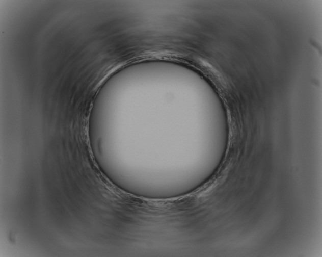 X0000092101361200709121101