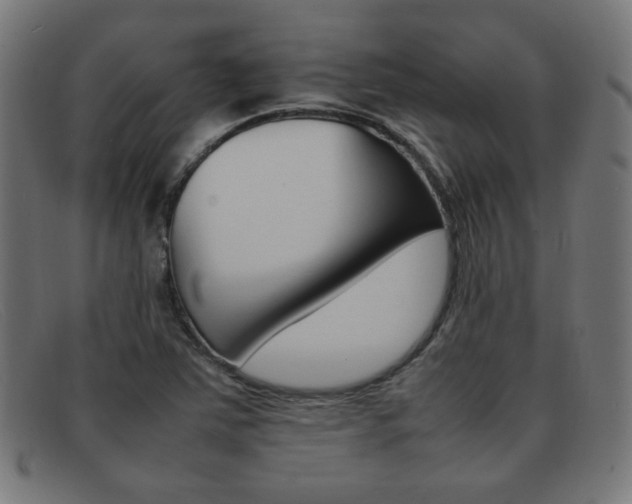 X0000092101363200709121101