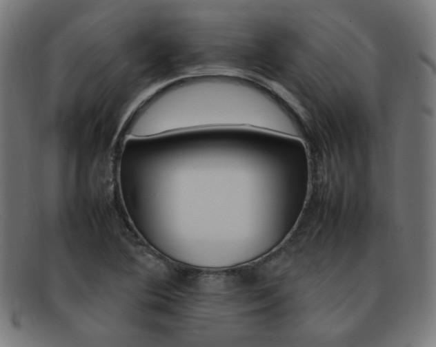 X0000092101364200709121101