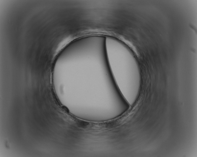 X0000092101365200709121101