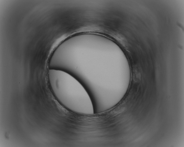 X0000092101366200709121101
