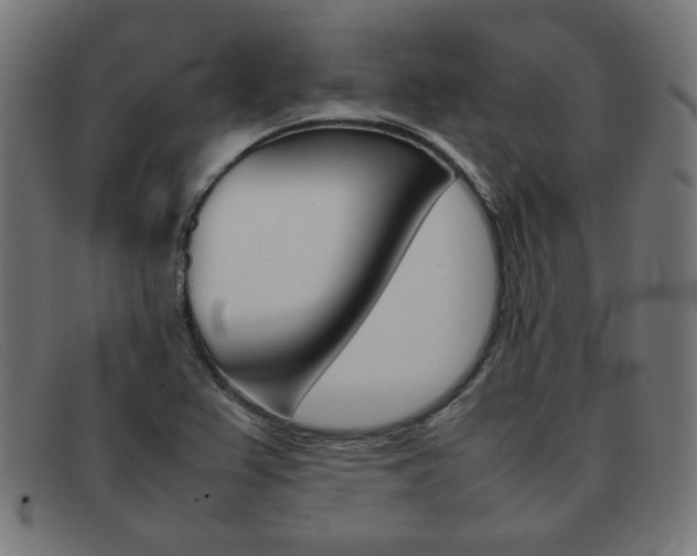 X0000092101367200709121101
