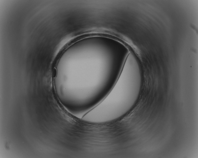 X0000092101368200709121101