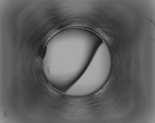 X0000092101369200709121101