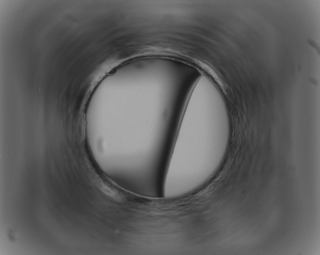 X0000092101371200709121101