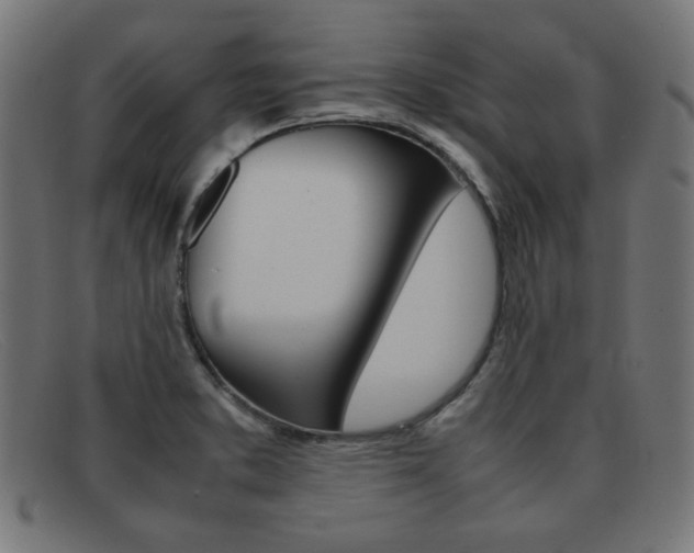 X0000092101373200709121101