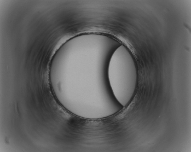 X0000092101374200709121101
