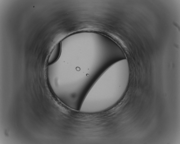 X0000092101375200709121101