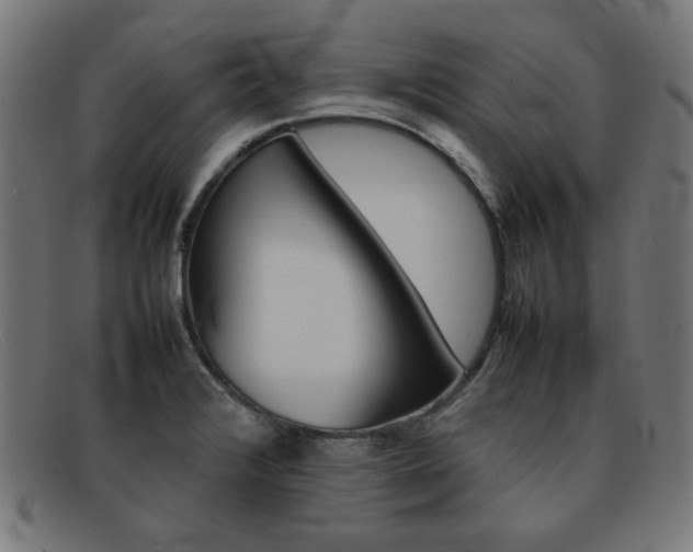 X0000092101376200709121101