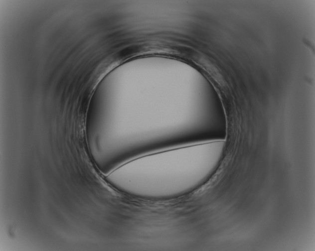 X0000092101377200709121101