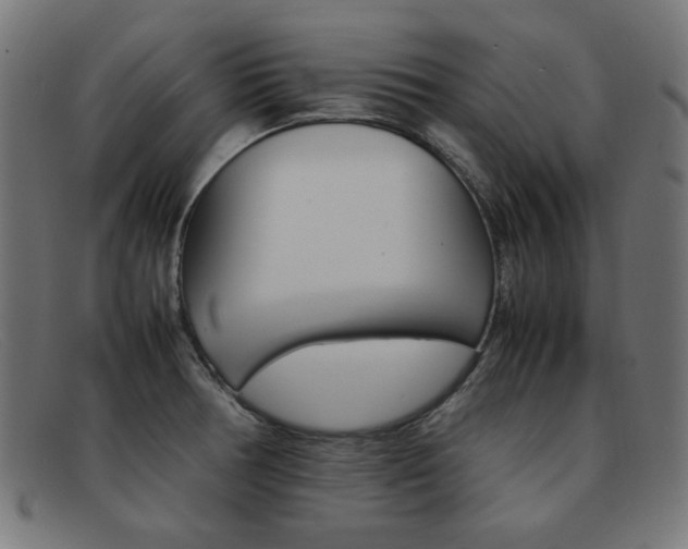 X0000092101378200709121101