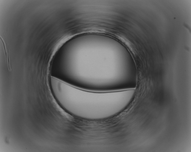 X0000092101379200709121101