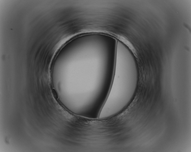 X0000092101380200709121101