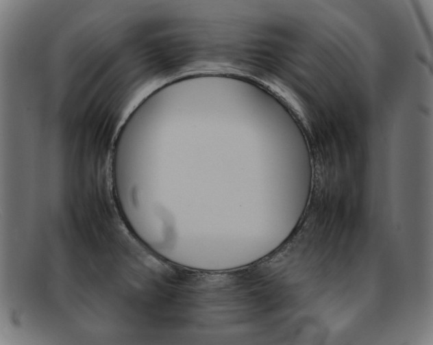 X0000092101382200709121101