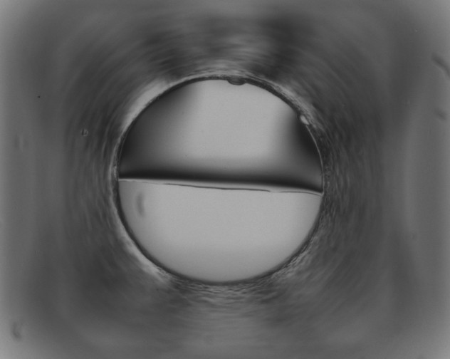 X0000092101383200709121101