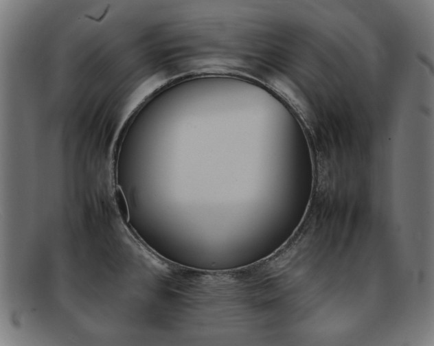X0000092101384200709121101