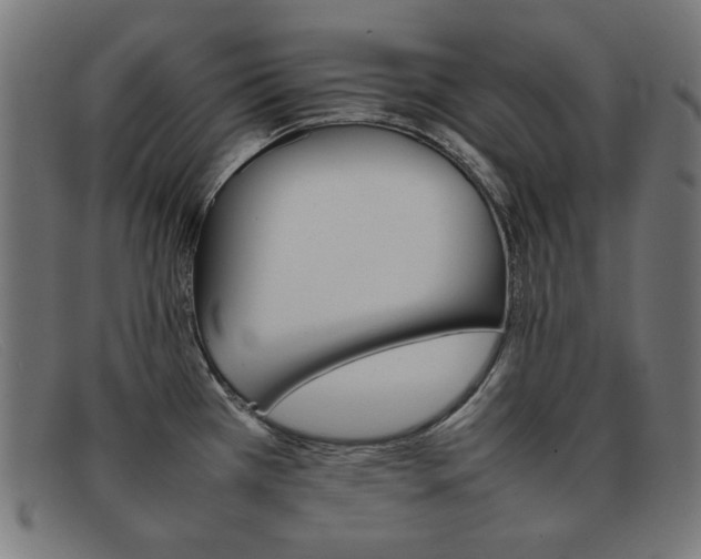 X0000092101385200709121101