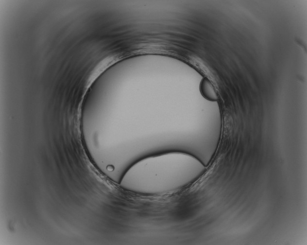 X0000092101386200709121101