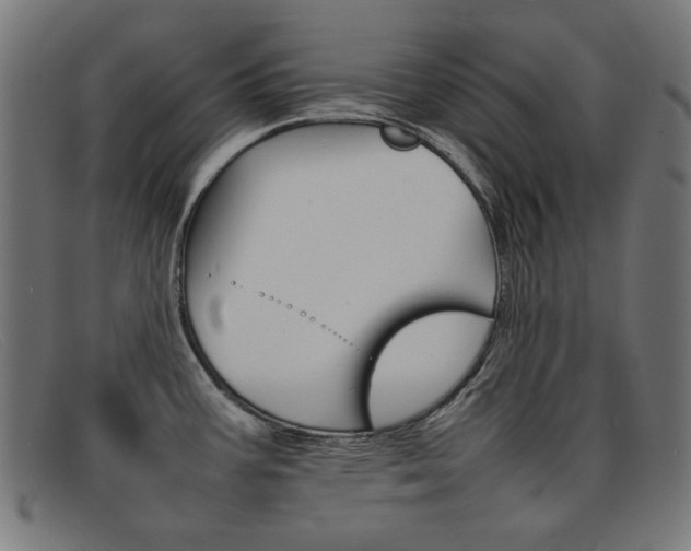 X0000092101387200709121101