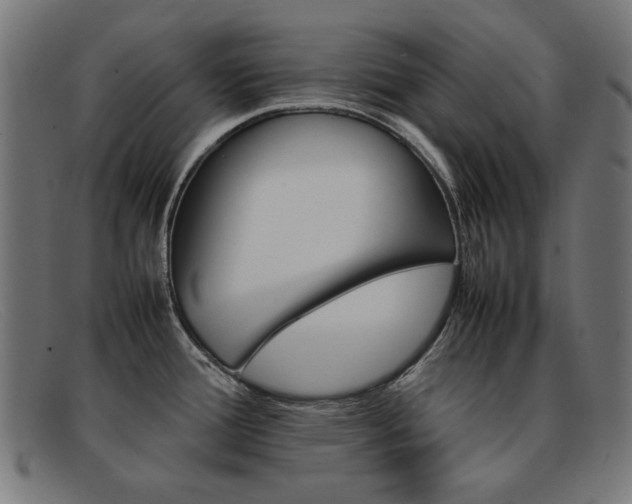 X0000092101388200709121101