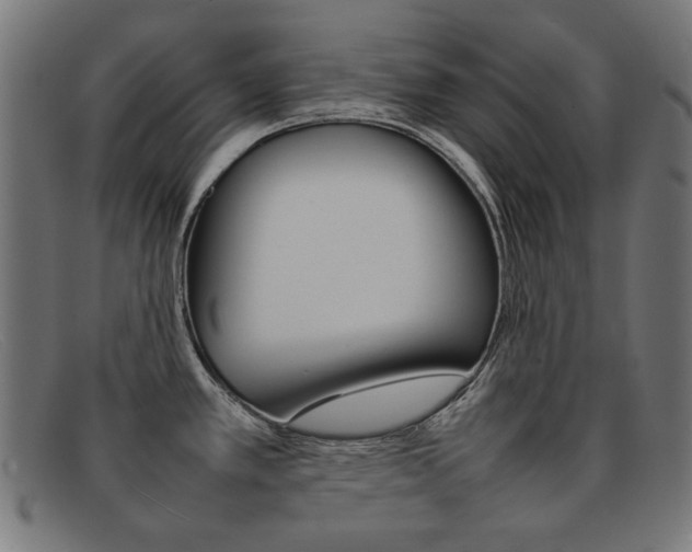 X0000092101389200709121101