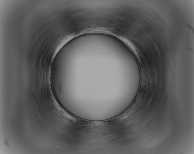 X0000092101390200709121101