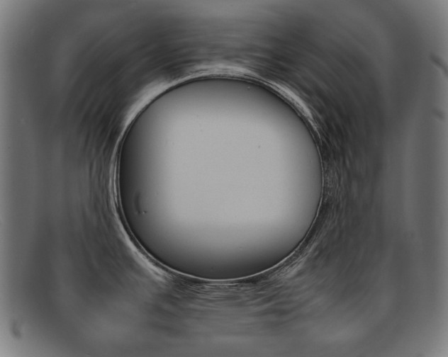 X0000092101391200709121101