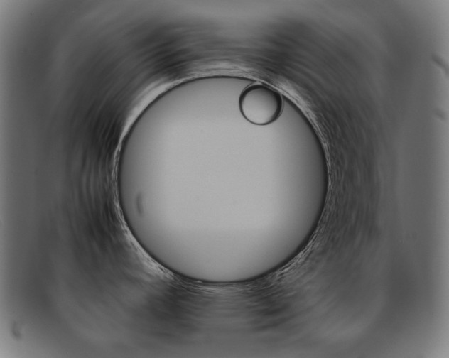X0000092101392200709121101