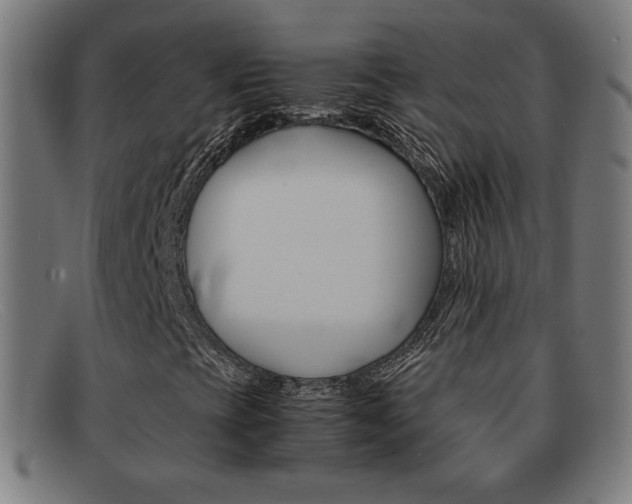 X0000092101393200709121100