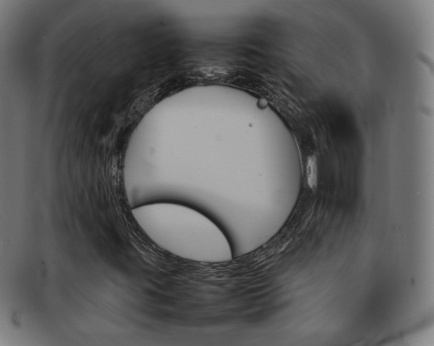 X0000092101395200709121100