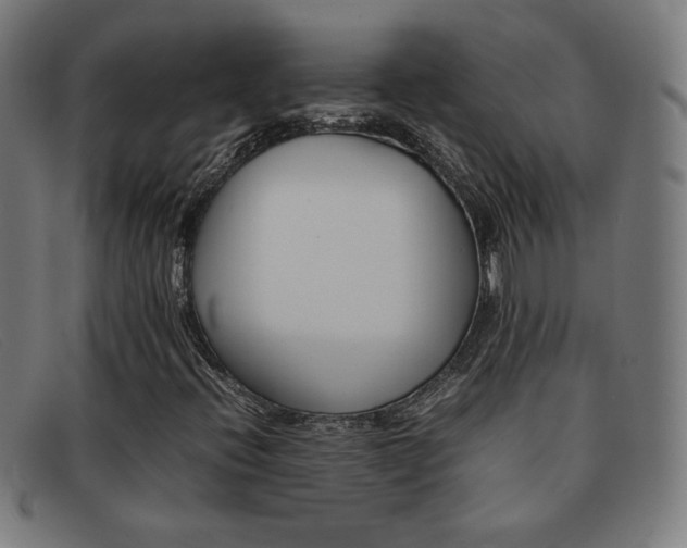 X0000092101396200709121100