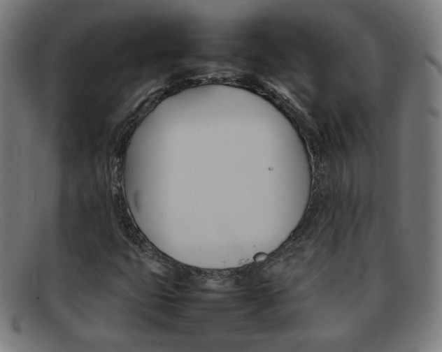 X0000092101399200709121100