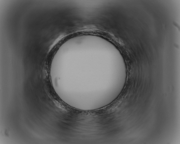 X0000092101400200709121100
