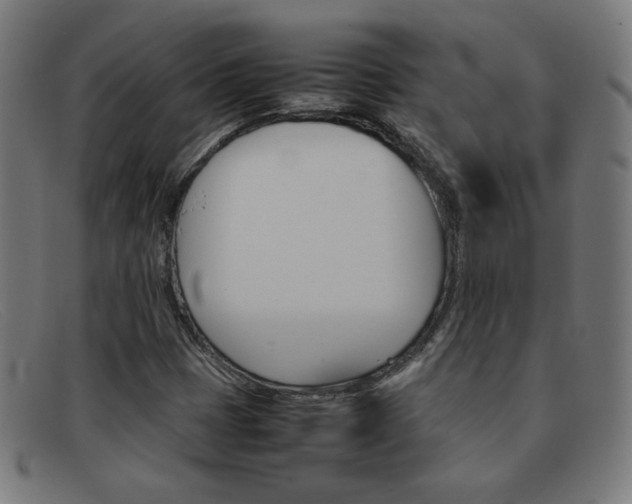 X0000092101401200709121100