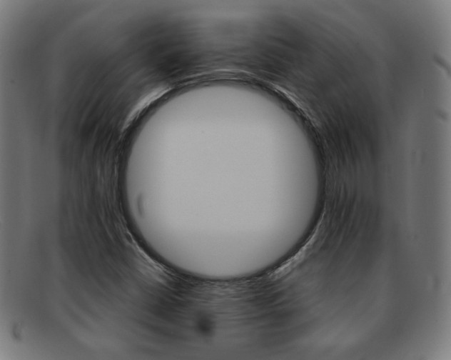 X0000092101402200709121100