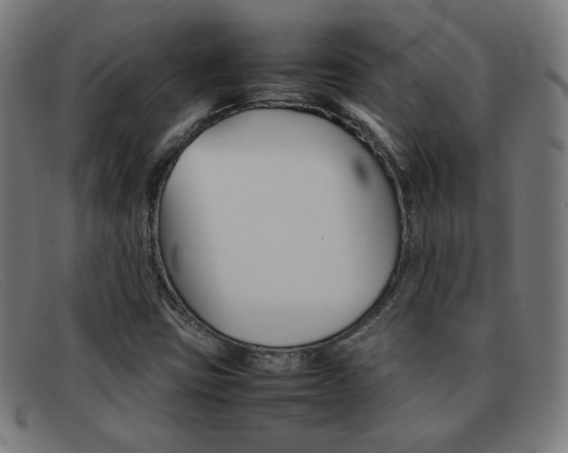 X0000092101403200709121100