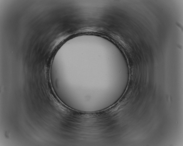 X0000092101404200709121100