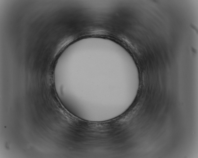 X0000092101405200709121100