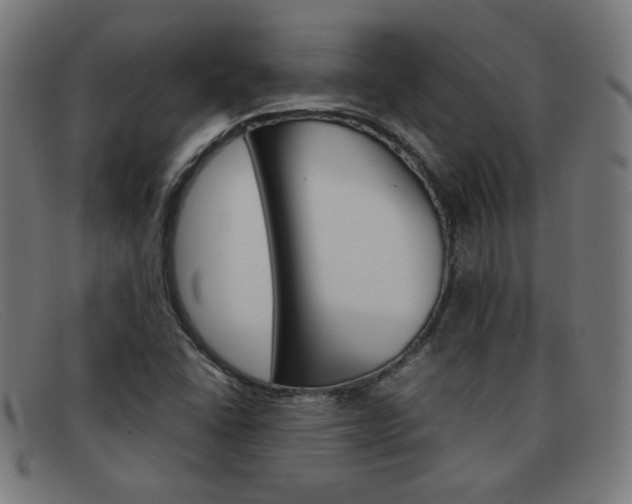 X0000092101406200709121100