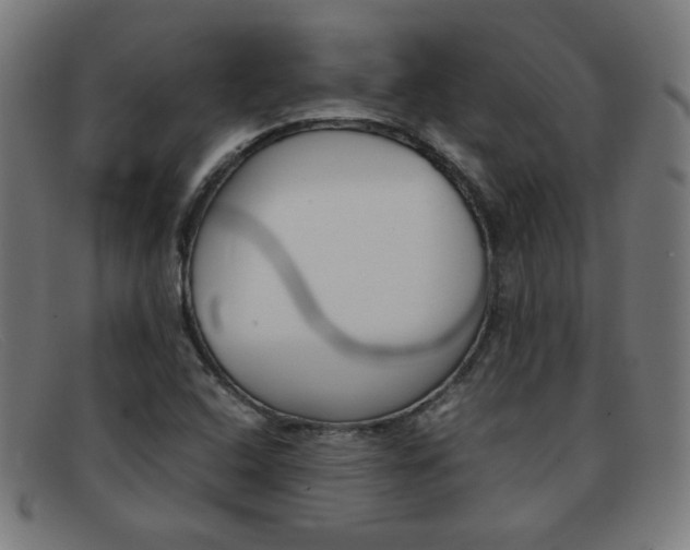 X0000092101408200709121100