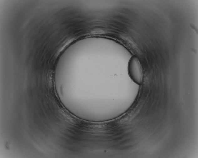 X0000092101409200709121100
