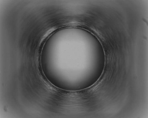X0000092101410200709121100