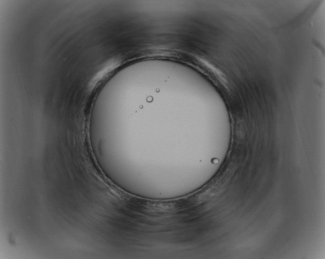 X0000092101411200709121100
